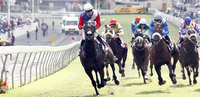 Hippisme : 22e journée - Casey’s War face au duo Chief Mambo – Captain Thriller