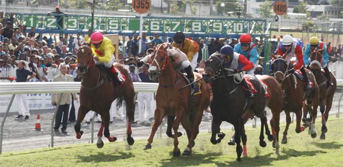 Hippisme (22e journée ) : Casey’s War domine le duo de l’écurie Rousset