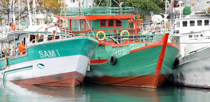 Le combat des pêcheurs artisanaux contre les bateaux de pêche étalé dans une vidéo de l’AFP