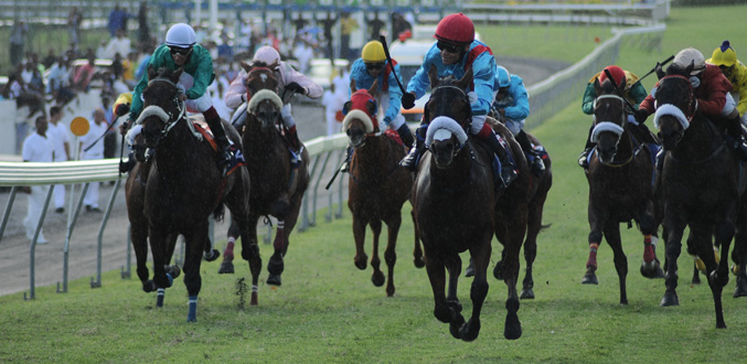 Hippisme – Les bookies ne prennent aucun risque dans le Maiden