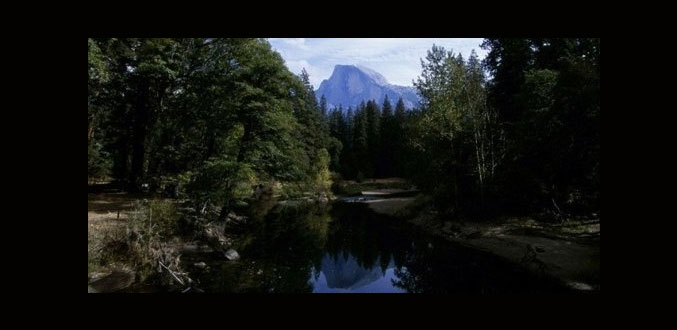 Etats-Unis - Californie : Un virus mortel dans le parc national de Yosemite