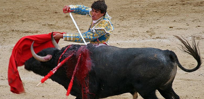 Corrida : une décision française irrite les défenseurs des animaux
