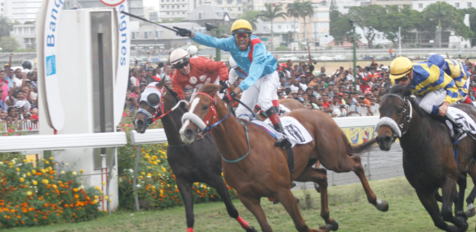 Hippisme : Tandragee offre la Coupe d''Or et la tête du championnat à l'' écurie Gujadhur
