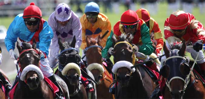 Hippisme – saison 2013 : Premier départ le 23 mars