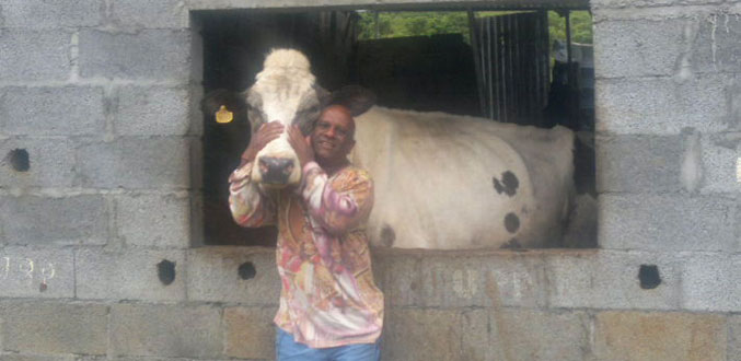 La Laura/Malenga: Suryah Narayan Das, l’homme qui murmure à l’oreille des vaches