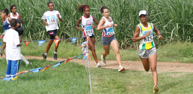 Athlétisme – Vital Cross-Country League : La finale demain à Mon-Choisy