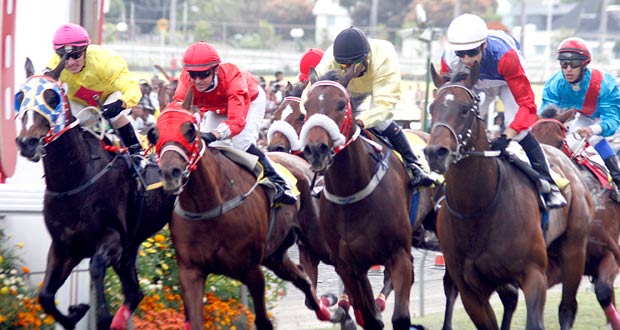 Championnat des 4-ans : Master Mascus sera-t-il confié à Joorawon ?