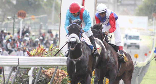 Hippisme - 16e journée : Vettel enlève le Trophée du Bicentenaire