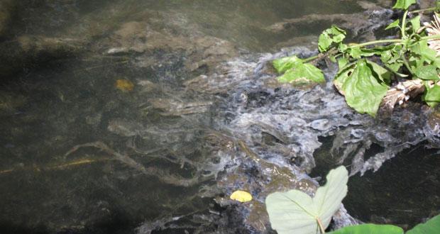 Déversement d’eaux usées dans la rivière Constance: Alteo s’active