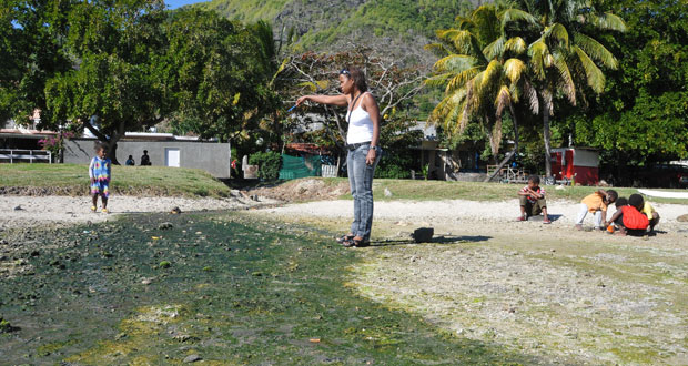 Le Morne : les élus du village inquiets face au dépérissement du lagon