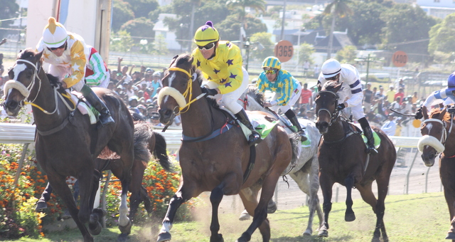 Hippisme :  Esteco cause une grosse surprise dans l’épreuve principale
