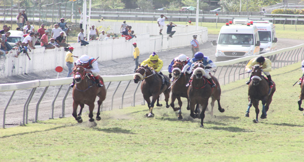 Hippisme : Wieland intouchable !