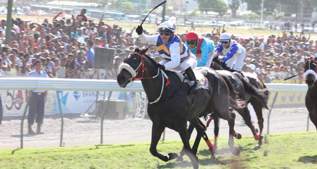 Hippisme – 30e journée : Nouveau match entre Intercontinental et Vettel 
