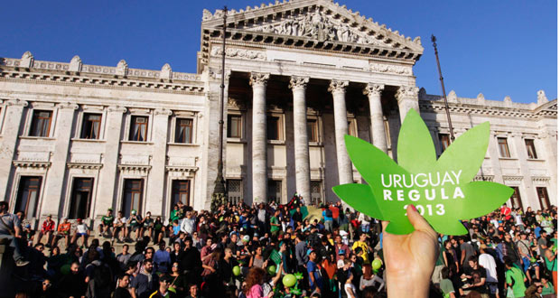 La loi sur la légalisation du cannabis adoptée en Uruguay
