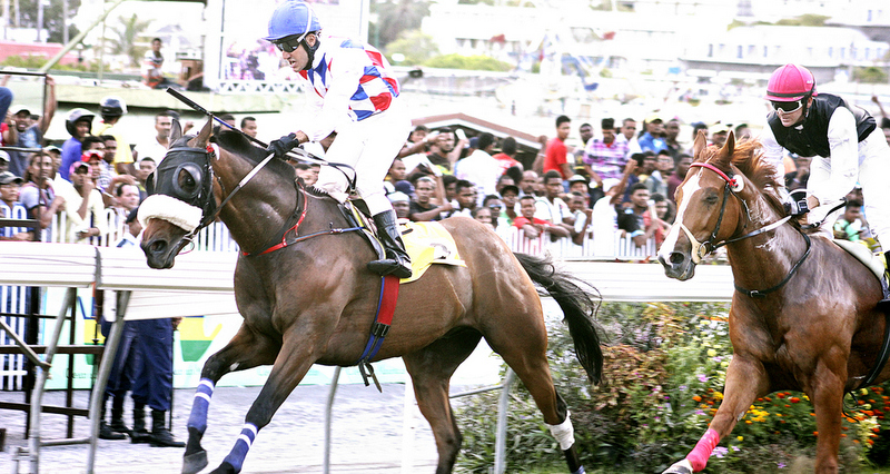 Décès du cheval Slinga Malinga: ventilateurs Pacific, la série noire continue