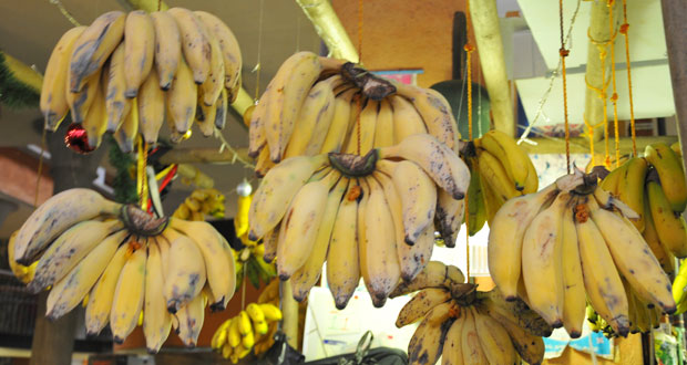 Hausse des prix de la banane prévue