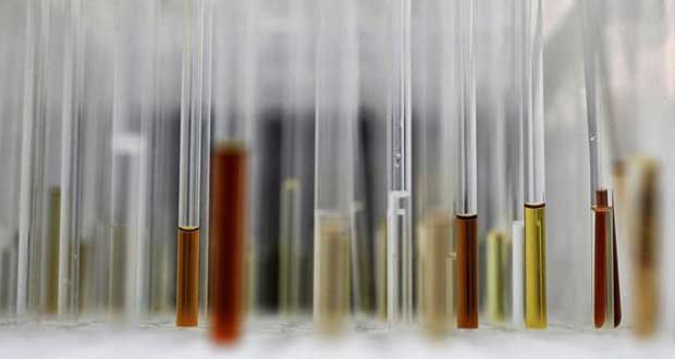 Découverte d'un virus géant congelé depuis 30.000 ans