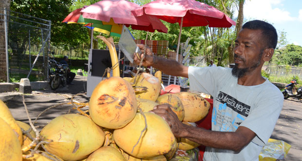 Vendeur de cocos et débrouillard