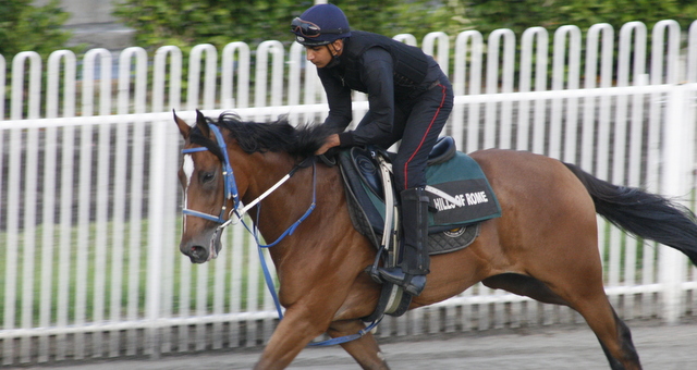 Dopage: deux chevaux de l’écurie Maigrot testés positifs 