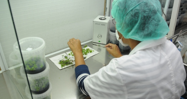 Science, technologie et innovation: une stratégie nationale en élaboration