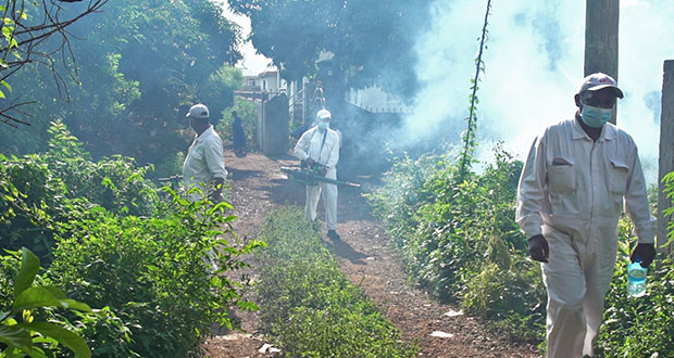 Dengue: pas de traitement mais près d’une semaine de maladie