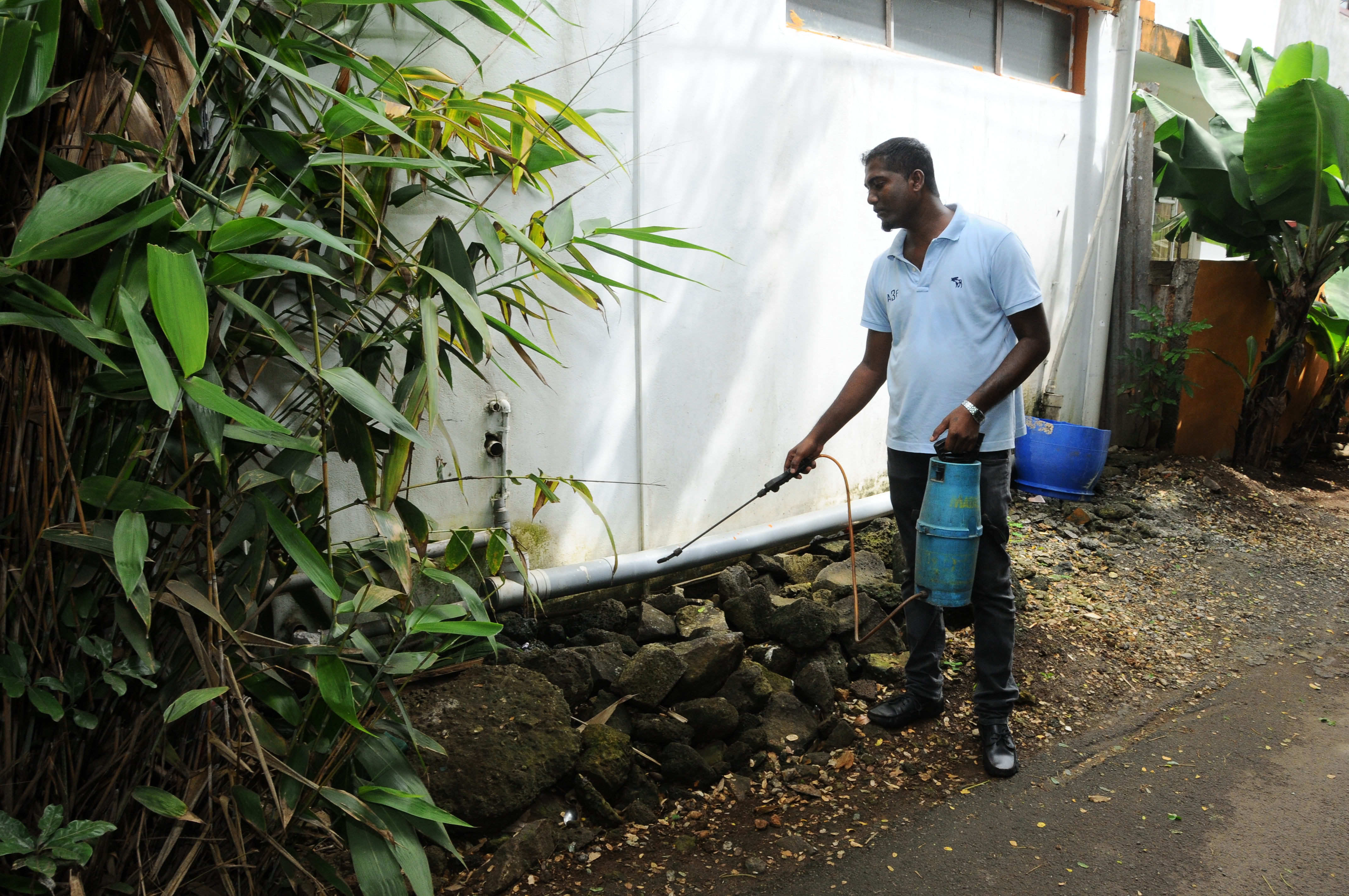 Dengue: sept nouveaux cas recensés en 24 heures