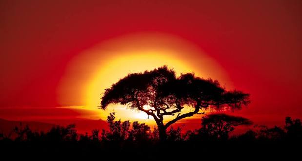 Investissement: comment réussir en Afrique…