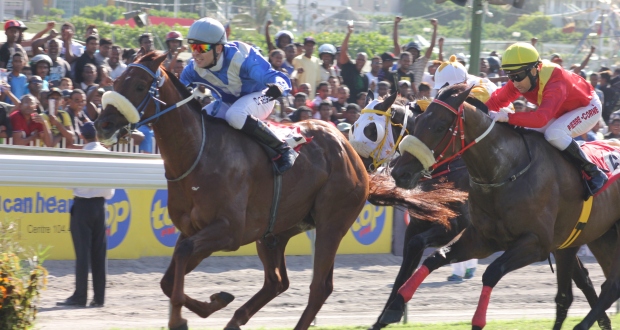 Hippisme: Gida (Ségeon) jamais rejoint dans l’épreuve principale