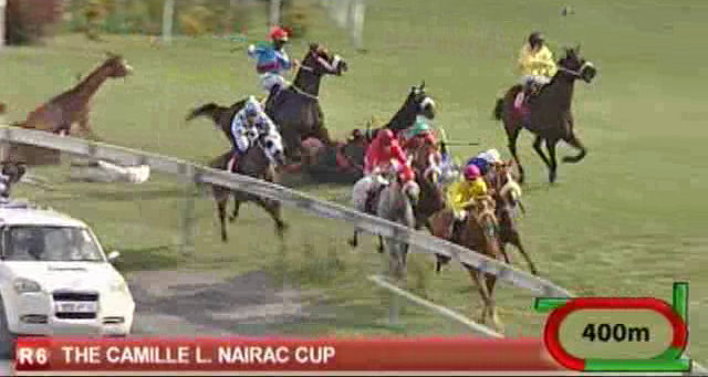 Hippisme: Seeking Angelo gagne dans des circonstances malheureuses