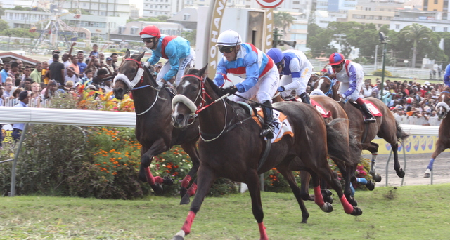 Hippisme: Emerald Approach en véritable finisseur