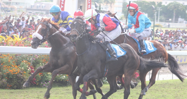 Hippisme: Casey’s War maintenu à la première place