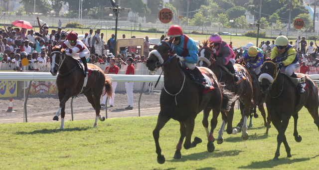 Hippisme: Azapel cause la surprise