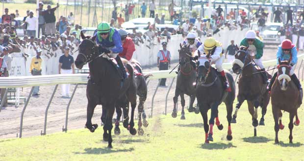 Hippisme : 19 entrées pour le Barbé