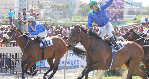 Hippisme: La Lightning Cup et le Barbé pour un week-end de courses grandiose