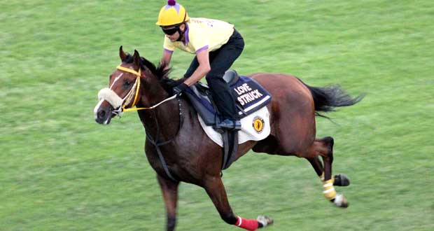 Hippisme – 20e journée: L’écurie Foo Kune peut creuser l’écart en tête du tableau