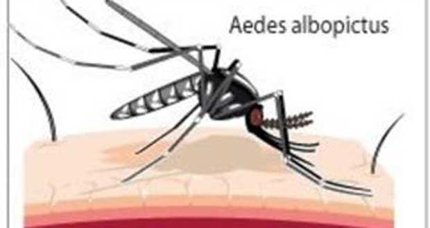 Campagne de prévention aux Antilles contre le chikungunya