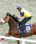 Hippisme : Les débuts de Roman Manner très attendus