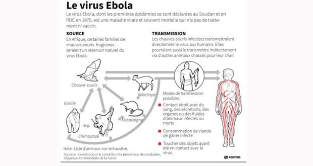 Pour combattre la fièvre Ebola, le Liberia ferme les écoles