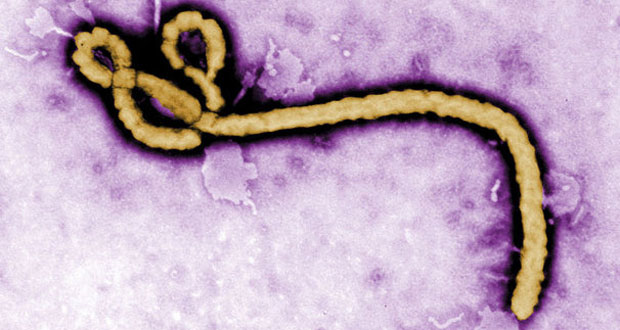 L'OMS priée d'autoriser un traitement expérimental sur Ebola
