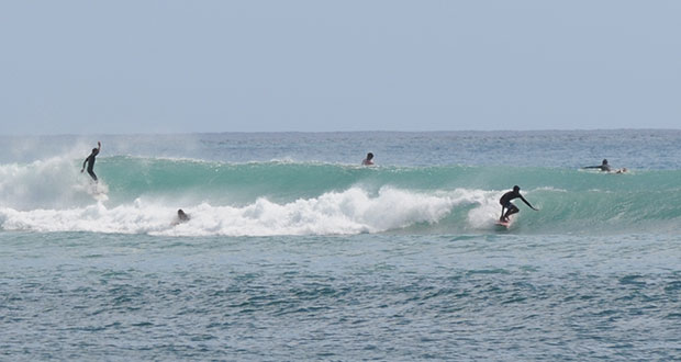 Tamarin: des surfeurs font la loi