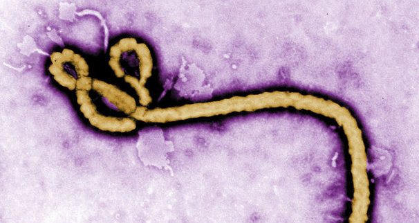 Ebola: La Guinée dément avoir fermé ses frontières