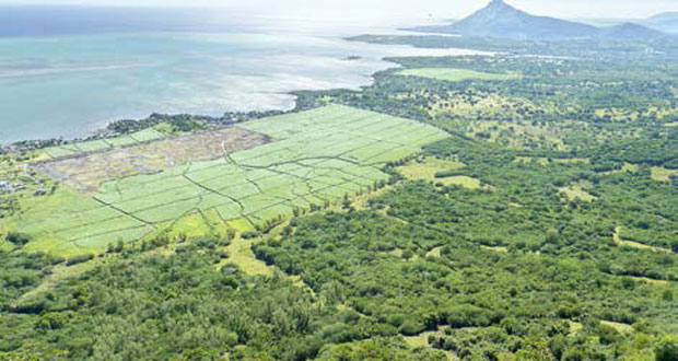Chamarel: un parc d’écotourisme à Rs 40 m