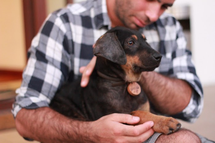 Adoption de chiens errants: l’histoire d’amour entre un touriste français et Jeko