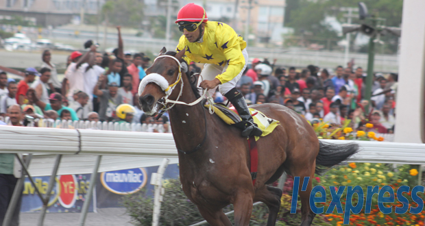 Hippisme: Ryder Cup en pole position pour le titre 