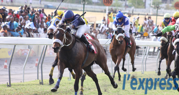 Hippisme – 40e journée: Abington le meilleur au finish
