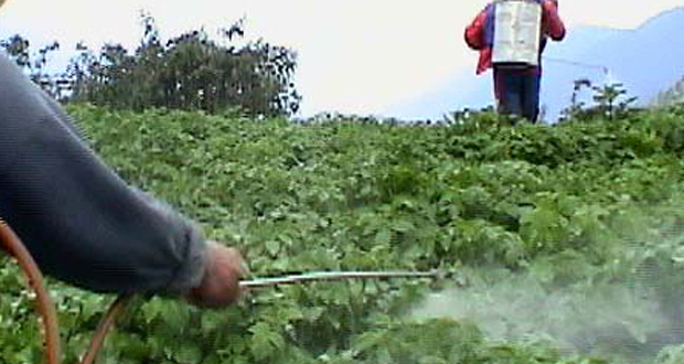 Alimentation: Halte aux pesticides!