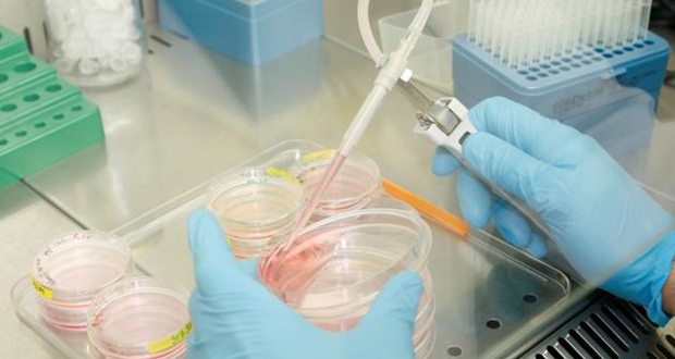 La CEJ ouvre la voie à des brevets sur les cellules souches
