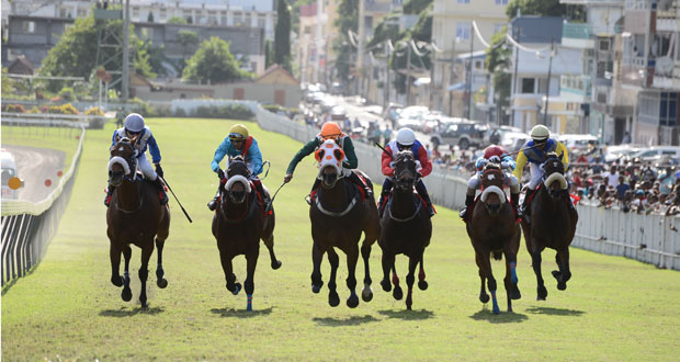 Hippisme - 12e journée: Kalinago cause la surprise dans l’épreuve principale