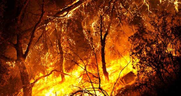 Plus de 8.500 pompiers sur le front en Californie, dévorée par les flammes