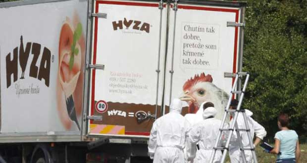 Autriche: des dizaines de migrants retrouvés morts dans un camion